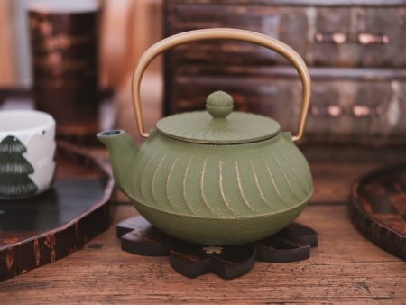 IWACHU Iron Kyusu Teapot Wave Pattern -Tsurugane Fashion