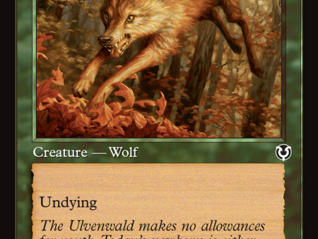 Young Wolf (Retro Frame) [Innistrad Remastered] For Cheap