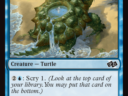 Tidepool Turtle [Foundations Jumpstart] Online