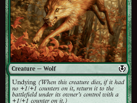 Young Wolf [Innistrad Remastered] For Discount