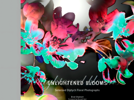 Enlightened Blooms: Solarized Diptych Floral Photographs Online