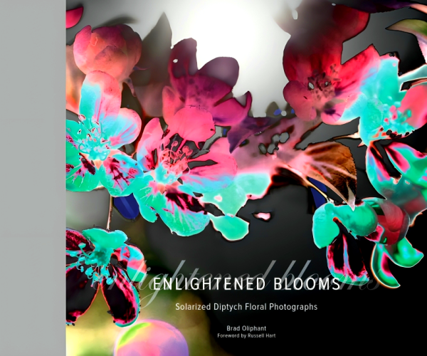 Enlightened Blooms: Solarized Diptych Floral Photographs Online