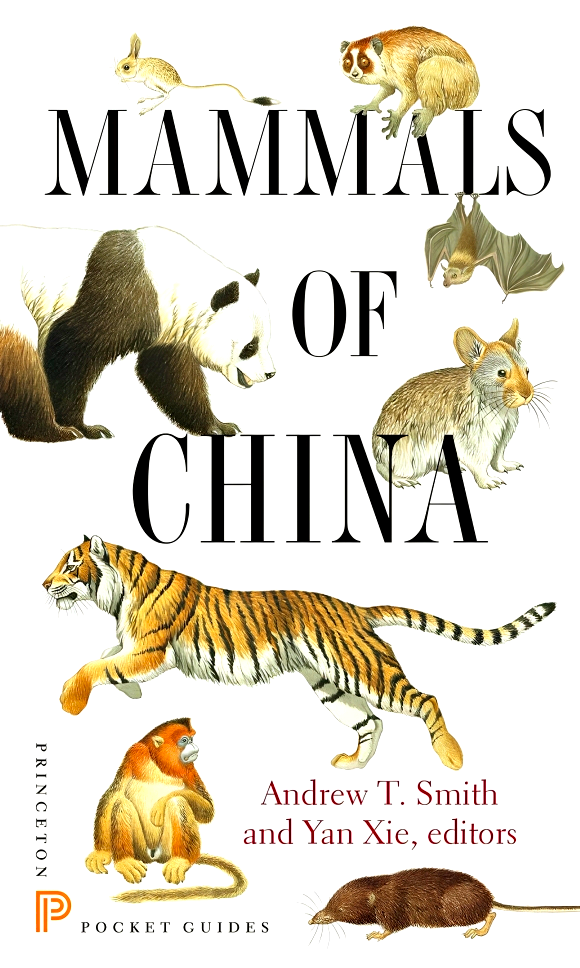 Mammals Of China Fashion