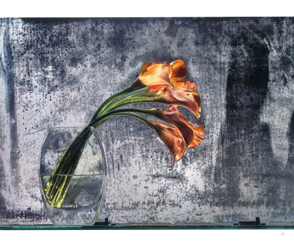 Enlightened Blooms: Solarized Diptych Floral Photographs Online